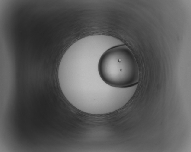 X0000102790768200808251028