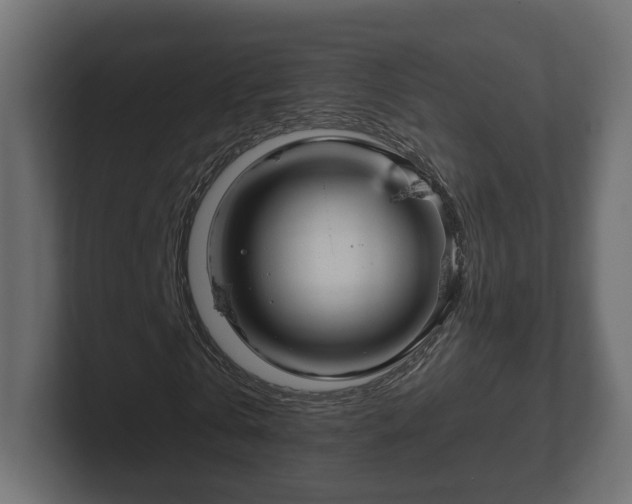 X0000102790769200808251028