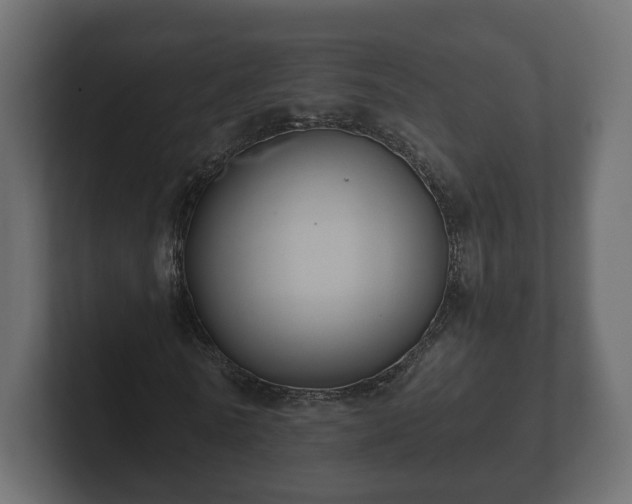 X0000102790770200808251028