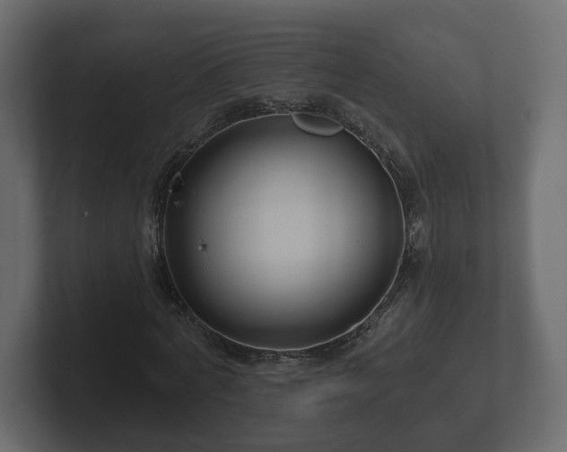 X0000102790772200808251028