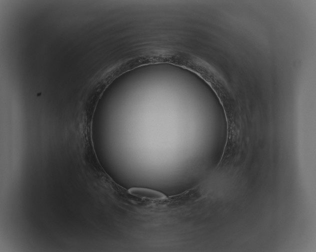 X0000102790773200808251028