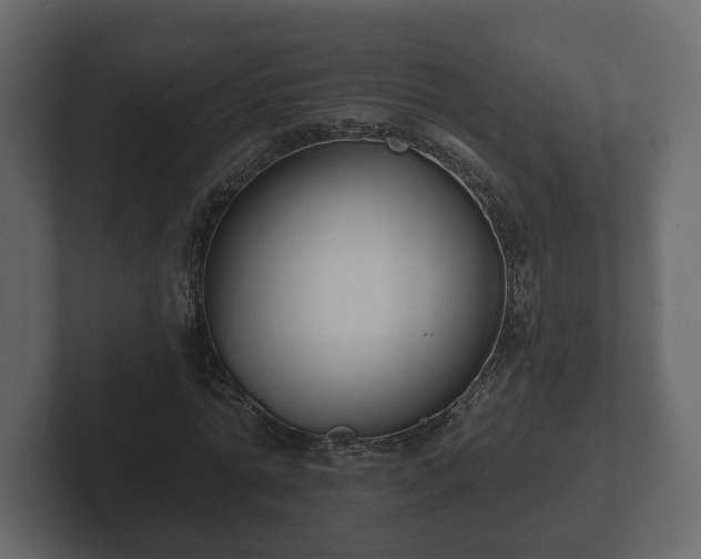 X0000102790774200808251028