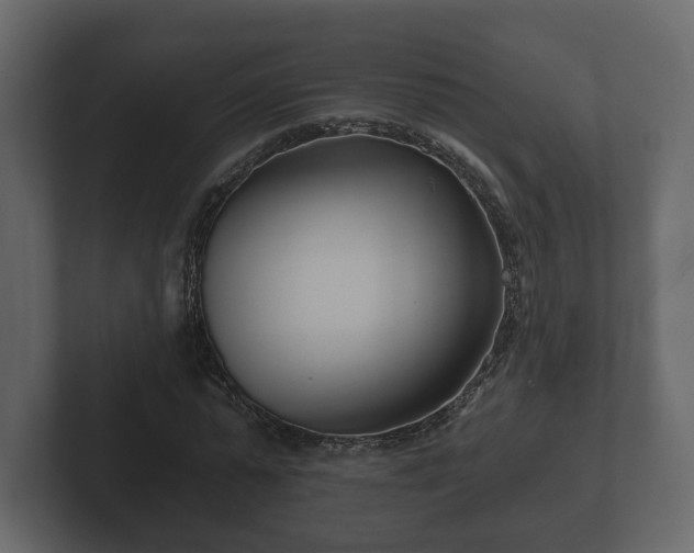 X0000102790775200808251028