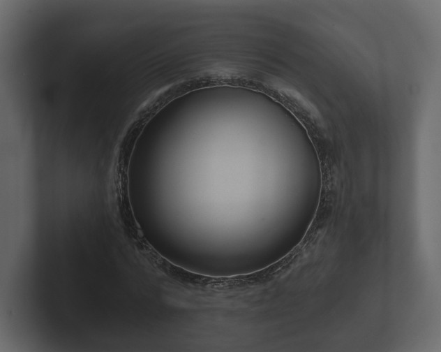 X0000102790776200808251028