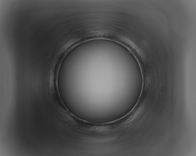 X0000102790778200808251028