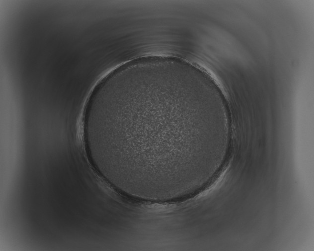 X0000102790779200808251028