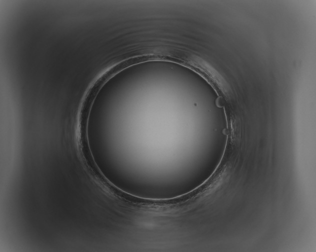 X0000102790780200808251028