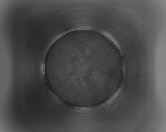 X0000102790781200808251027