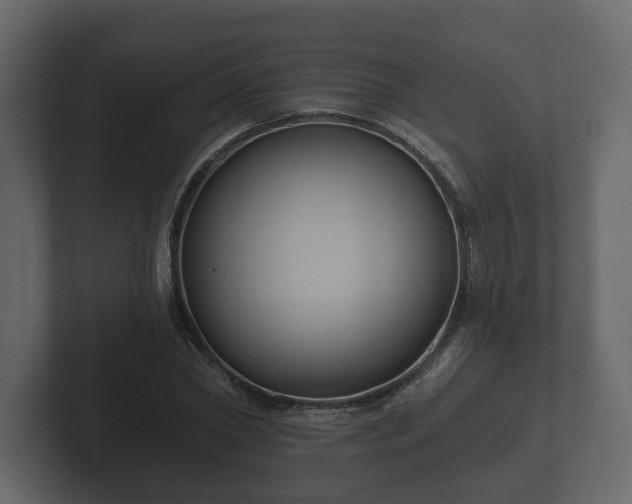 X0000102790782200808251027