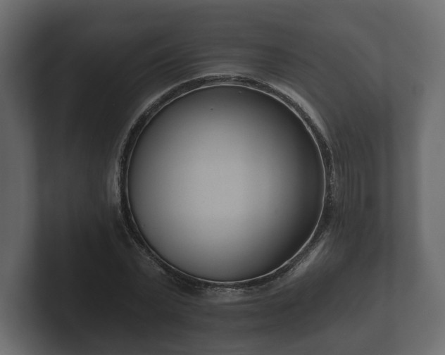 X0000102790783200808251027