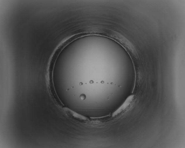 X0000102790784200808251027