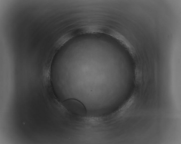 X0000102790785200808251027