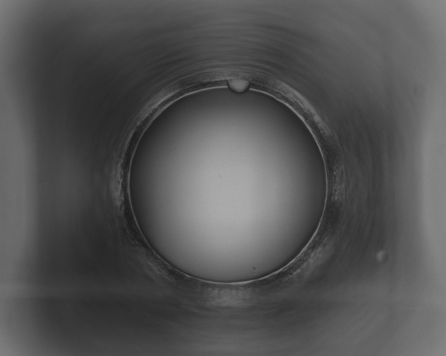X0000102790786200808251027