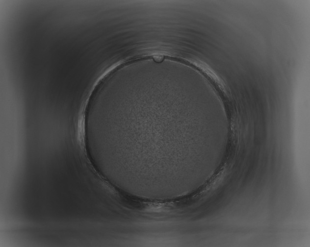 X0000102790790200808251027