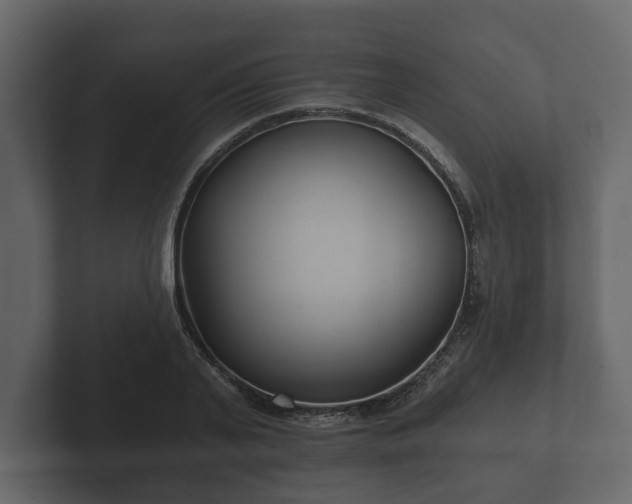 X0000102790791200808251027