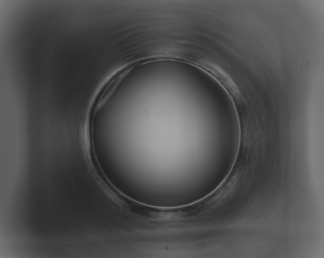 X0000102790796200808251027