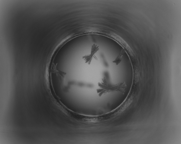 X0000102790798200808251027