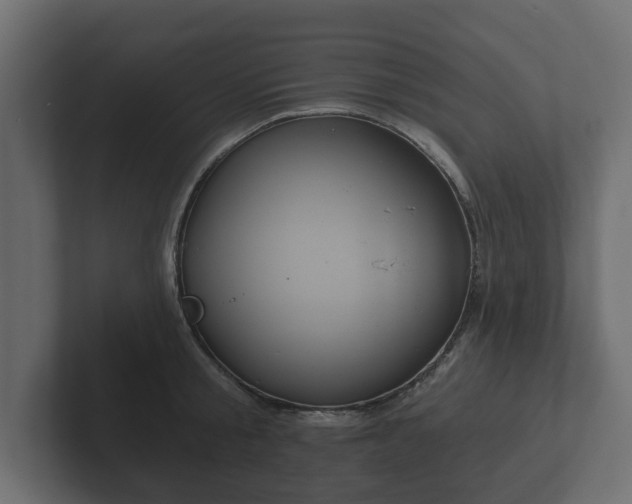 X0000102790805200808251027