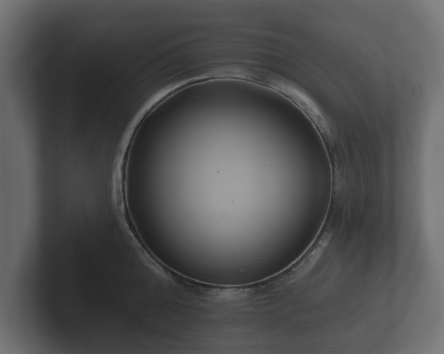 X0000102790808200808251027