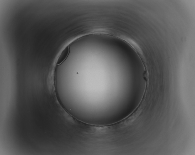 X0000102790816200808251027