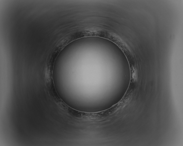 X0000102790819200808251026