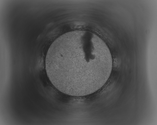X0000102790820200808251026