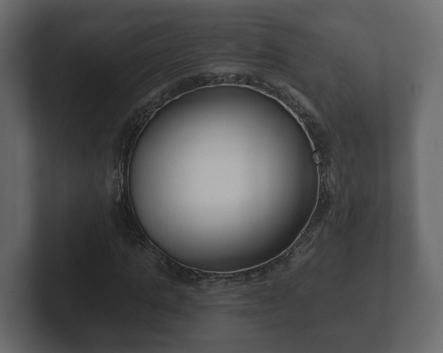 X0000102790821200808251026