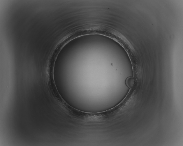 X0000102790826200808251027