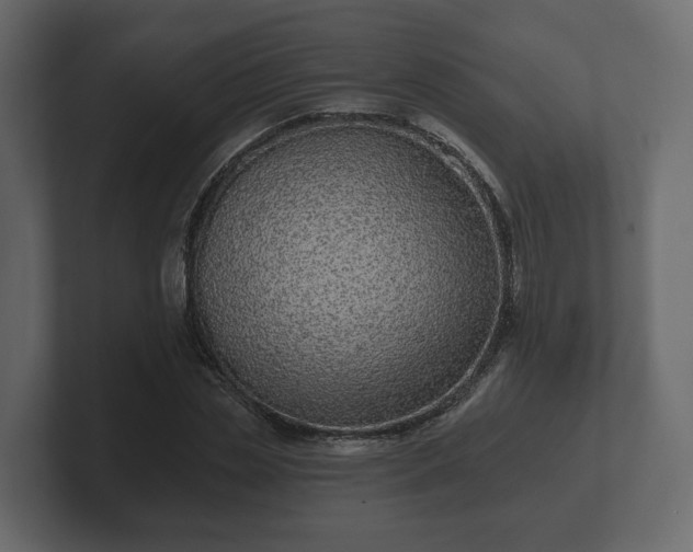 X0000102790829200808251027