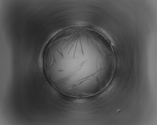 X0000102790835200808251027