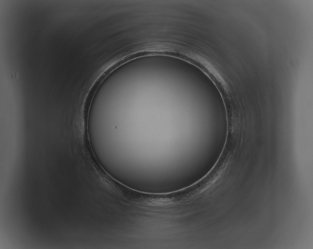 X0000102790837200808251027
