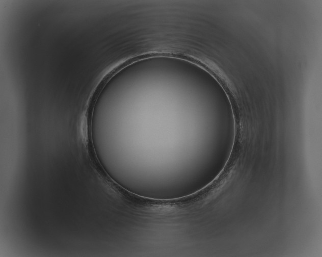 X0000102790838200808251027