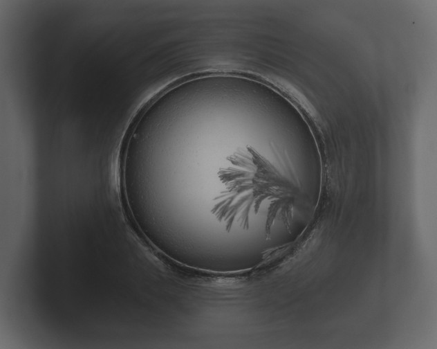 X0000102790839200808251027