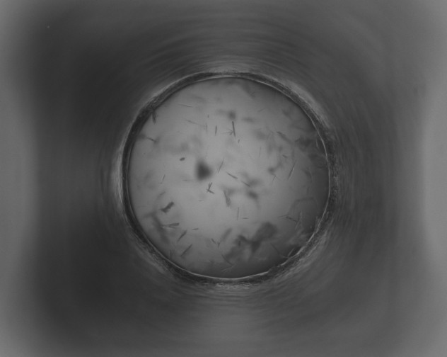X0000102790840200808251027