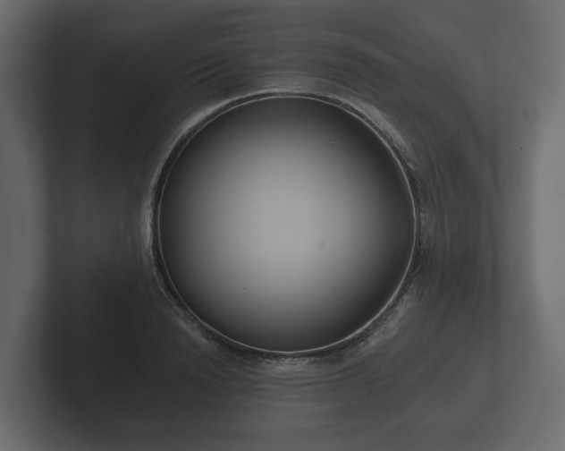 X0000102790846200808251027