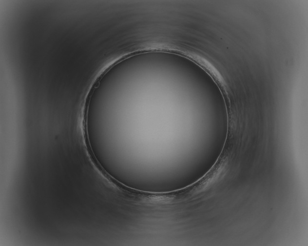 X0000102790847200808251027