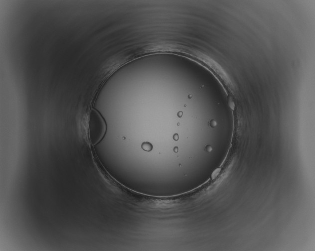 X0000102790849200808251027