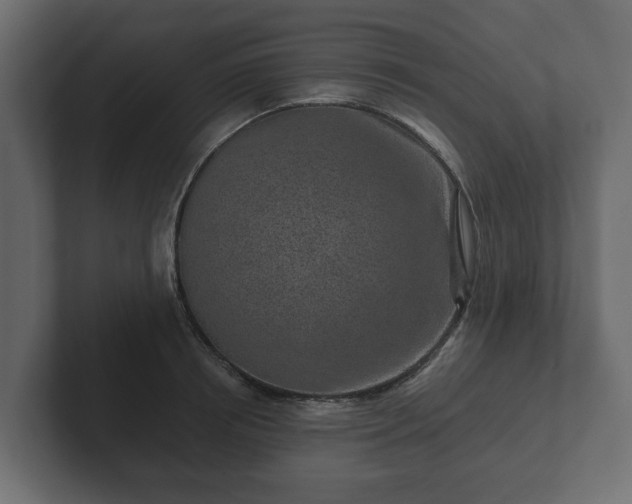 X0000102790850200808251027