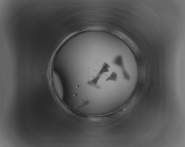 X0000102790852200808251027