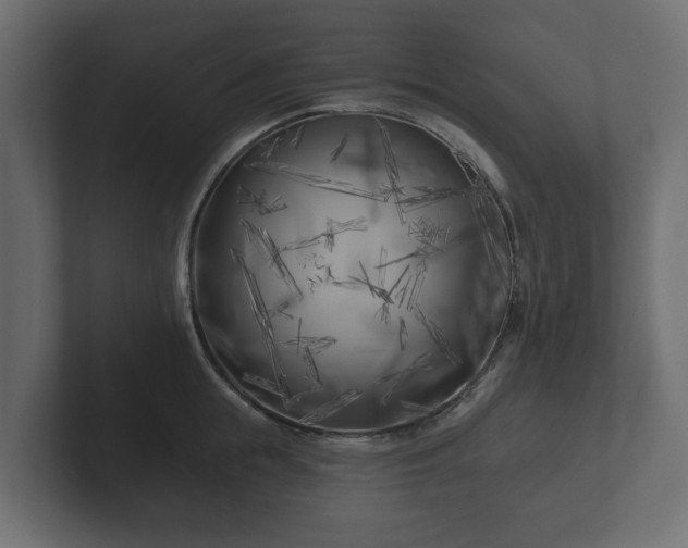 X0000102790855200808251027