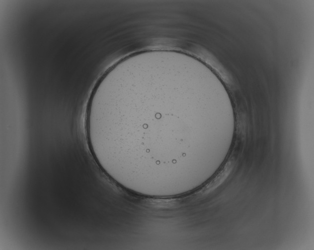 X0000102790856200808251027