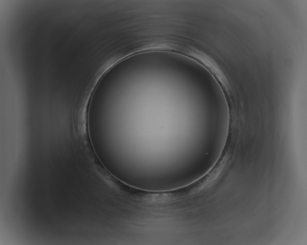X0000102790858200808251027