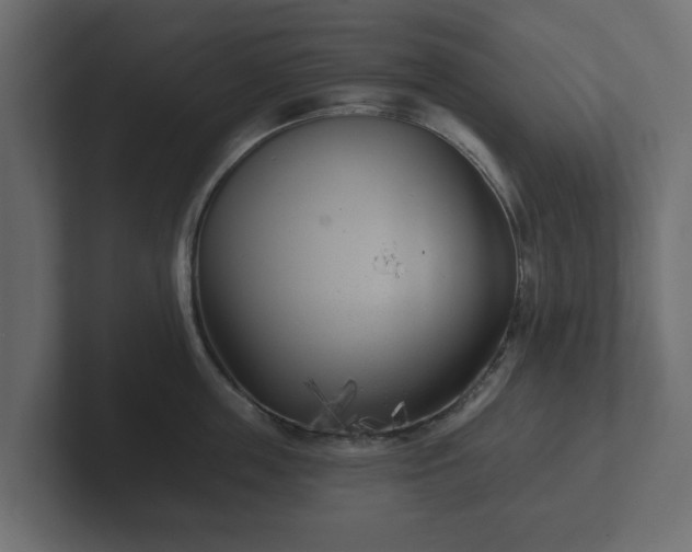 X0000102790859200808251027