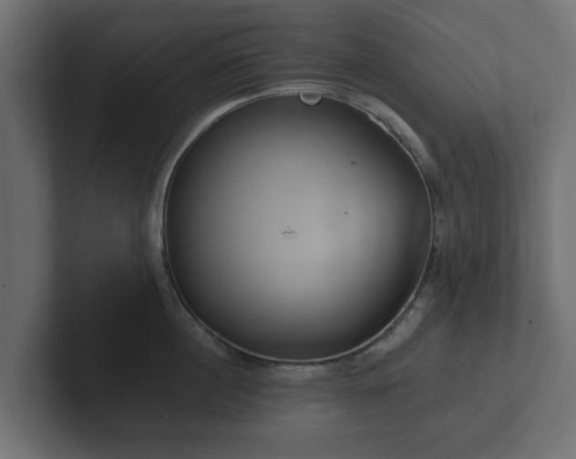 X0000102790860200808251027