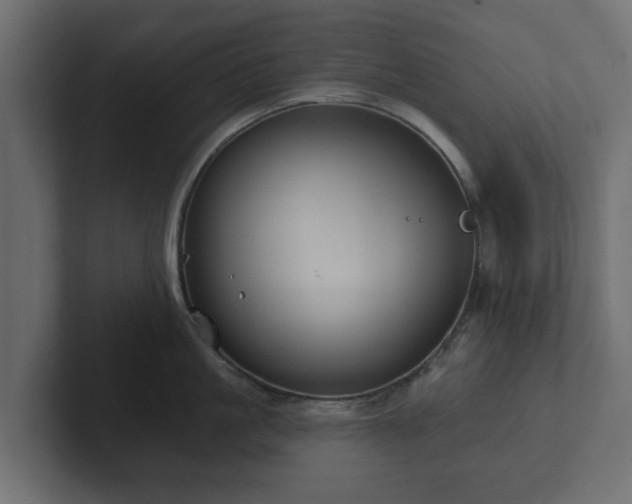X0000102790861200808251027