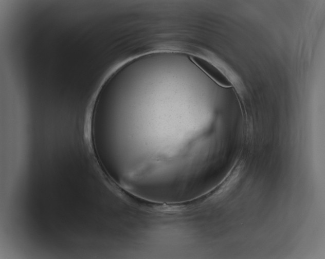 X0000102790862200808251027