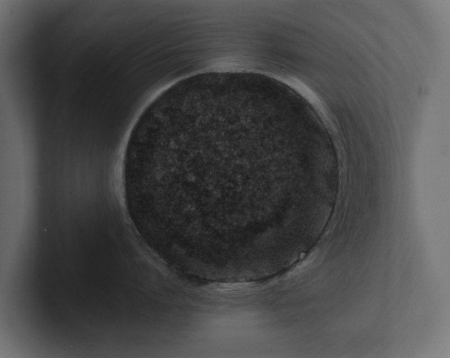 X0000102790864200808251027