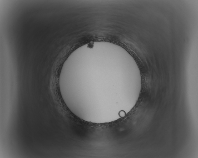 X0000102790865200808251026