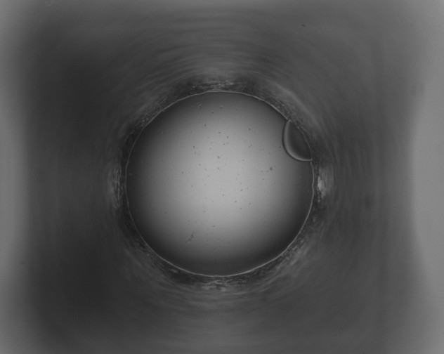 X0000102790867200808251026