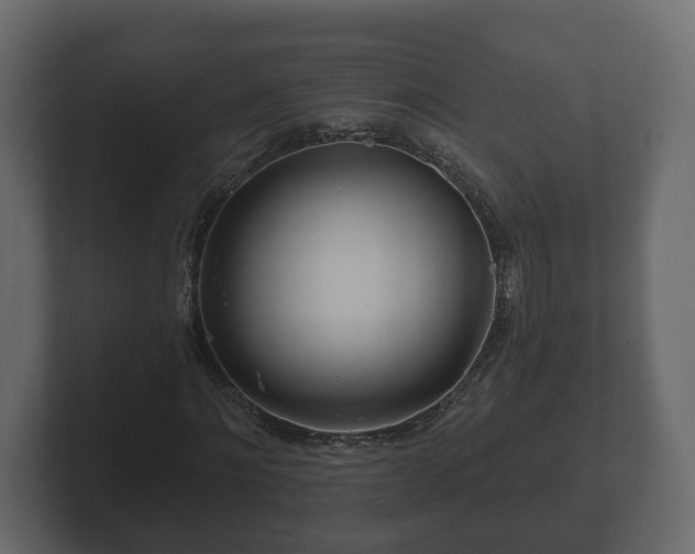 X0000102790868200808251026